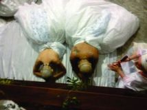 465434219_9248672441843840_6470370998291568666_n