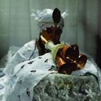 69b3ff8f-5a62-4119-91df-73425eb2508b